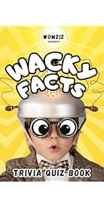 6...7... SIX SEVEN!: The Ultimate Six-Seven Activity Book: A Birthday, Easter, Christmas Stocking Stuffer Gift for Tweens & Teens (Fun Book Gift Ideas)