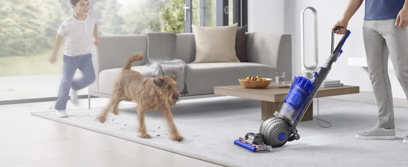 Dyson Ball Animal Total Clean Upright Vacuum, Corded, 290AW, Self-Adjusting Cleaner Head for All Floors, Homes with Pets