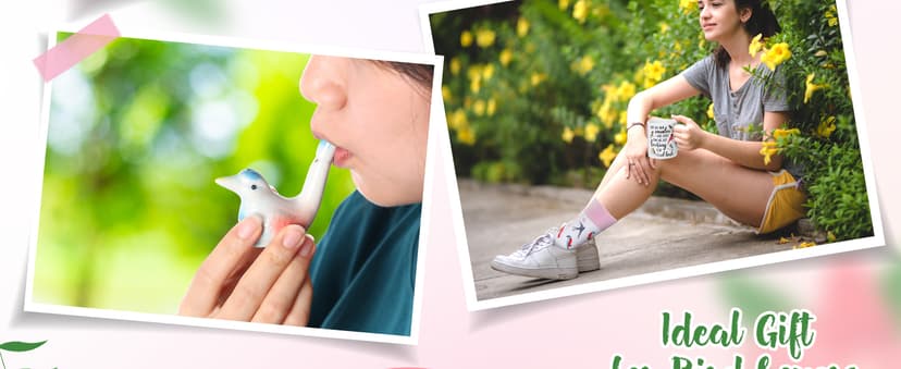 Nefelibata Bird Gifts for Women: 4-in-1 Birds Mug, Socks, Water Whistle, Kitchen Towel - Cardinal, Hummingbird, Kingfisher Birds on Branch