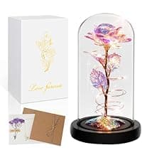 Childom Birthday Gifts for Women,Flowers for Delivery Prime,Colorful Rainbow Light Up Rose in A Glass Dome,Christmas Rose Gifts for Her Mom Women Wife Girl Grandma on Christmas Anniversary Valentines