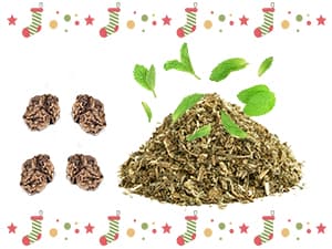 Retro Shaw Christmas Cat Toys, Xmas Catnip Toys for Indoor Cats Kitten Teeth Cleaning, Crinkly Interactive Cat Chew Nip Kitty Kicker Toy Santa Claus Trees Snowman, 5 Pack