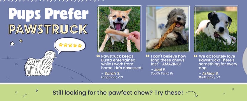 Pawstruck Large 5-6” Filled Dog Bones Variety Pack - Peanut Butter, Cheese & Bacon, Beef Flavors - Made in USA, Long Lasting Stuffed Femur Treat for Aggressive Chewers - Pack of 3, Packaging May Vary