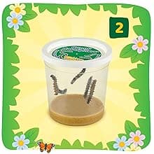 Insect Lore Butterfly Garden Kit – 10 Live Caterpillars, Habitat, STEM Journal, 2 Chrys-a-lid Holding Logs & Feeder – Grow & Release Painted Lady Butterflies – Educational Science Toy