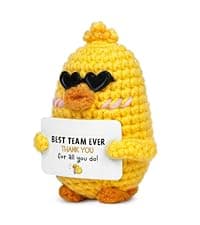 OASSIE Christmas Appreciation Gifts for Employee - Positive Turtle Crochet with Message Card - Thank You Birthday Team Stocking Stuffers Gifts for Coworkers Women Men, Office Desk Accessories Decor