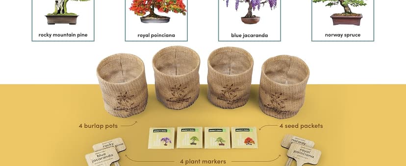 Bonsai Starter Kit - Gardening Easter Gift for Women & Men - Bonsai Tree Growing Garden Crafts Hobby Kits for Adults, Unique DIY Hobbies for Plant Lovers - Unusual Christmas Gifts Ideas