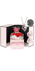 ADDWel Preserved Rose Gifts for Her, Forever Real Flowers with Sterling Silver Necklace for Wife Girlfriend Mom on Birthday Anniversary