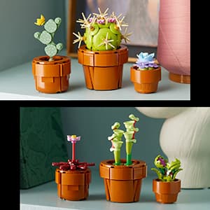 LEGO Botanicals Tiny Plants - Artificial, Fake Indoor Plant Building Set for Home, Kitchen, Desk Decoration, Adults Ages 18+ - Gift for Birthdays - 10329