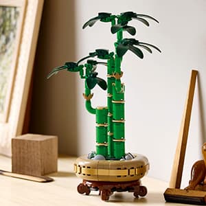 LEGO Botanicals Lucky Bamboo Building Set - Artificial Plant for Indoor Home Décor, Adults Ages 18+ - Fake Plant Decoration for Table, Desk, Office - Gift for Birthdays - 10344