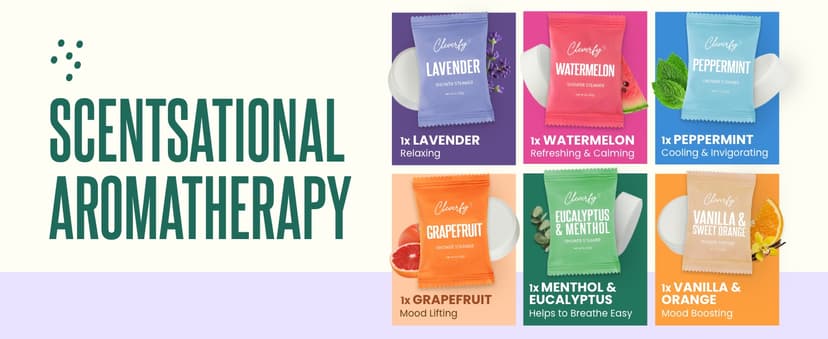 Crock-Pot 20-Ounce Electric Lunch Box, Portable Food Warmer, Faded Blue, Perfect for Travel, Car, On-the-Go, Keeps Food Warm, Spill-Free, Dishwasher-Safe, Ideal Gift for Men and Women