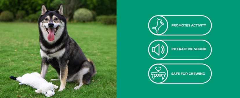 Best Pet Supplies 2-in-1 Stuffless Squeaky Dog Toys with Soft, Durable Fabric for Small, Medium, and Large Pets, No Stuffing for Indoor Play, Supports Active Biting and Play - 1Wild Duck, Small