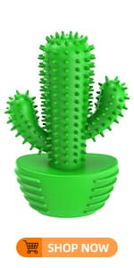 Dog Chew Toys Dog Toothbrush Stick Teeth Cleaning Brush Dental for Medium Large Dog, Puppy Christmas Easter Birthday Gifts, Outdoor Squeaky Toys for Aggressive Chewers Interactive Tough Toys