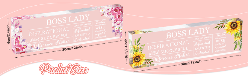 Pinkunn Boss Lady Gifts for Women Inspirational Quotes Office Gifts for Women Acrylic Boss Lady Office Decor Birthday Appreciation Keepsake and Paperweight for Leader(Classic Style)