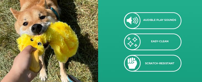 Best Pet Supplies Crinkle Dog Toy for Small, Medium, and Large Breeds, Cute No Stuffing Duck with Soft Squeaker, Fun for Indoor Puppies and Senior Pups, Plush No Mess Chew and Play - Yellow