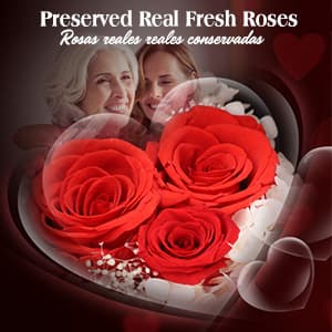 ADDWel Preserved Rose Gifts for Her, Forever Real Flowers with Sterling Silver Necklace for Wife Girlfriend Mom on Birthday Anniversary