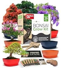 Bonsai Tree Kit - Gifts for Men & Women - Grow 4 Bonsai Trees - Unique Gardening Crafts for Adults, DIY Hobbies for Plant Lovers & Gardeners - Unusual Christmas Gift Ideas for Mom & Dad