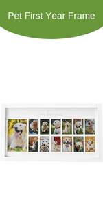 Green Pollywog 5-Opening Paw Print Collage Frame | Paw Print Picture Frame | Display for Photos for Pets | Dog Mom Gift | Dog Dad Collage | Pet Memorial Picture Gallery