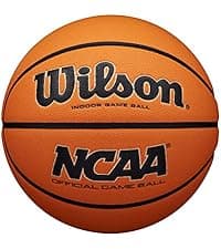 WILSON Evolution Indoor Game Basketballs - Size 5, Size 6 and Size 7