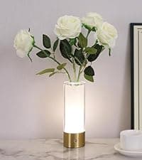 Cat Night Light Cute Night Light - Anime Charater 16 Color Change Decor Kitty Lamp with Remote, Dim, Timer,Kids Gifts for Christmas Birthday,Nursery Baby