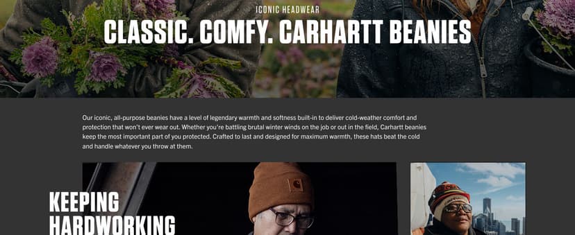 Carhartt Men's A18 Acrylic Watch Cap