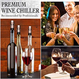 Wine Chiller - Wine Cooler Stick, 3 in 1 Stainless Steel Wine Bottle Chiller with Aerator and Pourer, The Best Holiday Gifts.