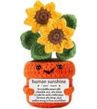 Positive Crochet Taco Christmas Birthday Gifts for Women Men Self Care Son Back to School Mom Dad Daughter Sister Friend Coworkers Relaxation Gift Desk Home Fall Decor Emotional Inspirational Support