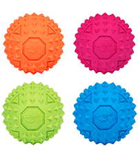 Best Pet Supplies 2-in-1 Stuffless Squeaky Dog Toys with Soft, Durable Fabric for Small, Medium, and Large Pets, No Stuffing for Indoor Play, Supports Active Biting and Play - 1Wild Duck, Small