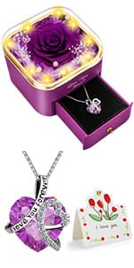 Preserved Red Real Rose with Heart I Love You Necklace -Eternal Flowers Rose Birthday Gifts for Women Her Mom Wife Girlfriend Grandma on Valentines Mothers Day Christmas Anniversary Romantic-Red