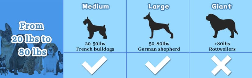WinTour Tough Dog Toys for Aggressive Chewers, Indestructible Dog Chewers for Medium & Large Breeds, Squeaky Durable Chew Toys to Keep Them Busy, Reduce Boredom, Teeth Cleaning, Bacon Flavor
