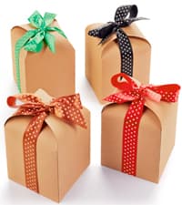 Brown Kraft Cookie Boxes with Ribbons & Window (20 Pack) 8.3 x 6 x 2.8” Food Grade Cardboard Bakery Gift Boxes for Christmas Gift Giving, Baked Goods, Candy Treats, Decorative Holiday Packaging, Empty