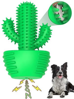 Dog Chew Toys Dog Toothbrush Stick Teeth Cleaning Brush Dental for Medium Large Dog, Puppy Christmas Easter Birthday Gifts, Outdoor Squeaky Toys for Aggressive Chewers Interactive Tough Toys