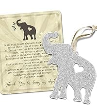 Best Friend Ornaments for Christmas Tree - Bestie Gifts - Friendship Christmas Ornaments - Acrylic Ornament