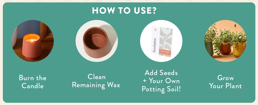 Modern Sprout Rooted Candle - 2 in 1 Cedarwood Scented & Soy Candle with Seeds That Grows into Lavender Plant - 6 oz w/ 42 hr Burn time in Matte Glaze Ceramic Vessel Ideal for Indoor Herb Garden