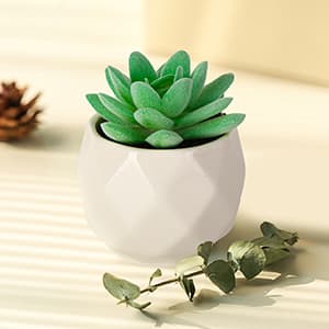 Thank You Gift Box for Women, Relaxing Spa Gifts and Self-Care Package for Mom, Grandma, Friends, Sister, Wife, Coworker, Teacher, Boss, Perfect for Birthdays, Appreciation, Retirement, or Farewell