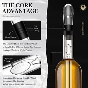 Wine Chiller - Wine Cooler Stick, 3 in 1 Stainless Steel Wine Bottle Chiller with Aerator and Pourer, The Best Holiday Gifts.