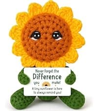 Funny Retirement Gift for Woman Men, Coworker Farewell Leaving Going Away Goodbye Gift for Women Coworker Boss Friend Teacher, Moving Away Off to College, Crochet Abandonment Cactus Decroration Card