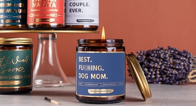 Best Dog Mom Funny Scented Candle - Dog Mom Gifts for Women for Birthday Christmas Mothers Day Thanksgiving - Birthday Gift from Dogs, Fur Mama Gift Ideas, Animal Decor - Pet Lovers Candle