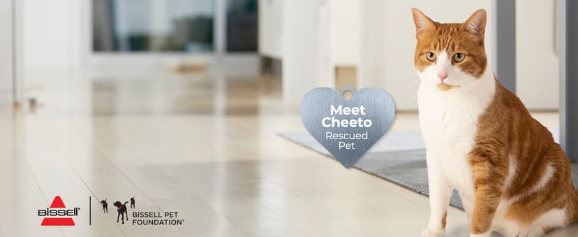 Bissell Featherweight Stick Lightweight Bagless Vacuum with Crevice Tool, 2033M, Black