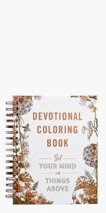 Set Your Mind on Things Above: Devotional Coloring Book