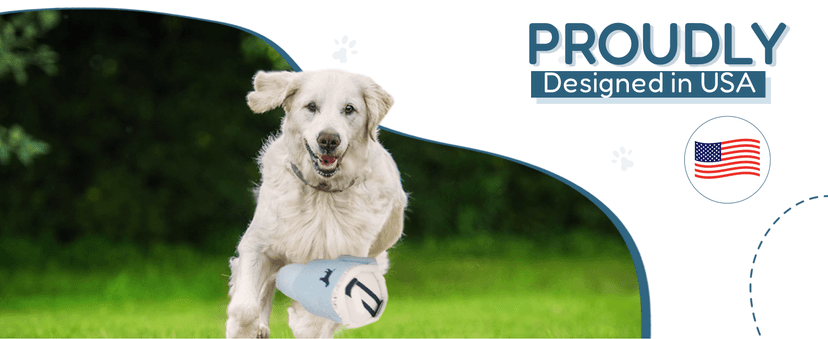 Pup Cup Tumbler Dog Toy – Birthday Dog Toy, Funny Squeaky Plush Puppy Gift, Cute Birthday Present (Pink Peach Dust)