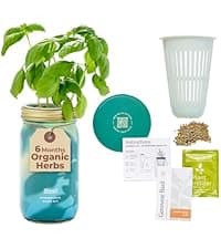 Modern Sprout Rooted Candle - 2 in 1 Cedarwood Scented & Soy Candle with Seeds That Grows into Lavender Plant - 6 oz w/ 42 hr Burn time in Matte Glaze Ceramic Vessel Ideal for Indoor Herb Garden