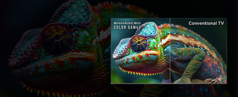 TCL 65-Inch Class S5 UHD 4K LED Smart TV with Fire TV (65S551F, 2024 Model), Dolby Vision, HDR PRO+, Dolby Atmos, Alexa Built-in with Voice Remote, Apple AirPlay 2 Compatibility, Streaming Television