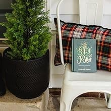 The Gift of Jesus: Meditations for Christmas