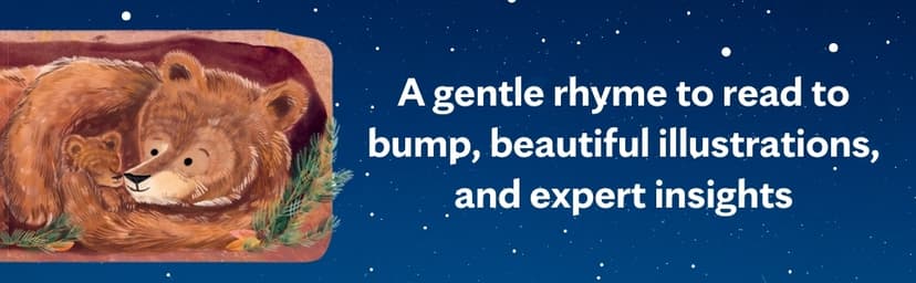 We're Pregnant! The First Time Dad's Pregnancy Handbook