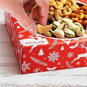 Christmas Nuts Gift Basket for Holiday Season, Premium Mixed Nut Assortment Gift Gourmet Snack Food Present Box, Christmas Gift Basket for Family (4 Sectional)