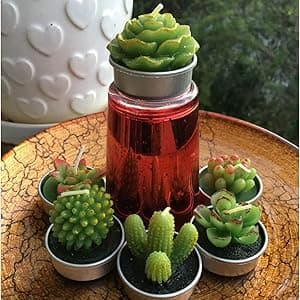 GIFTEXPRESS 18 Pcs Succulent Cactus Candles No Repeat Style, Delicate Smokeless Scented Tealight Candles for Home Décor, SPA, Wedding, Valentine's Day, Birthday Gift, Anniversary Celebration