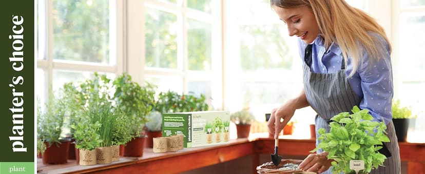 greenoak Heated Blanket Electric Throw, Soft Fleece Heating Blanket with 10 Heat Levels, 8 Hours Auto-Off, Christmas Gifts for Grandma/Seniors/Mom, Misty Grey, 50"X60"