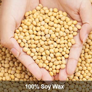 Scented Candles Gifts Set 16 Pack Soy Wax Travel Tin Jar Candles for Home 2.5 OZ for Mom for Christmas, Birthday, Thanksgiving, Mother's Day