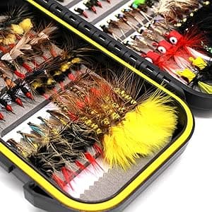 Fly Fishing Flies Assortment Kit Dry Wet Nyphms Tenkara Popper Streamer Woolly Bugger for Trout Bass Salmon Steelhead with Fly Box