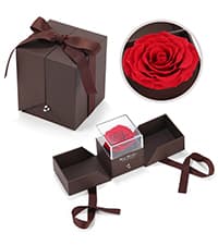 Gold Dipped Rose Real 24K Gold Rose, Genuine One of a Kind Rose Hand Dipped in 24K Golden Roses Romantic Gifts for Women in Her Birthday Anniversary Day Mothers Day