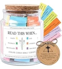 NewEleven Sister Birthday Gifts - Gift For Sister, Soul Sis, Sisters In Law - Sisters Gifts From Sister, Brother, Friend, Family - Decorative Glass Scripture Jar With 92 Bible Verse